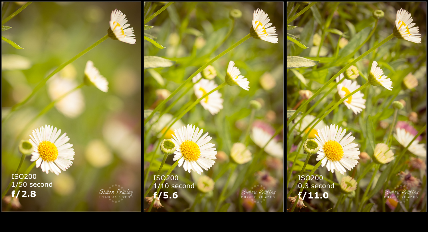 Aperture Photography