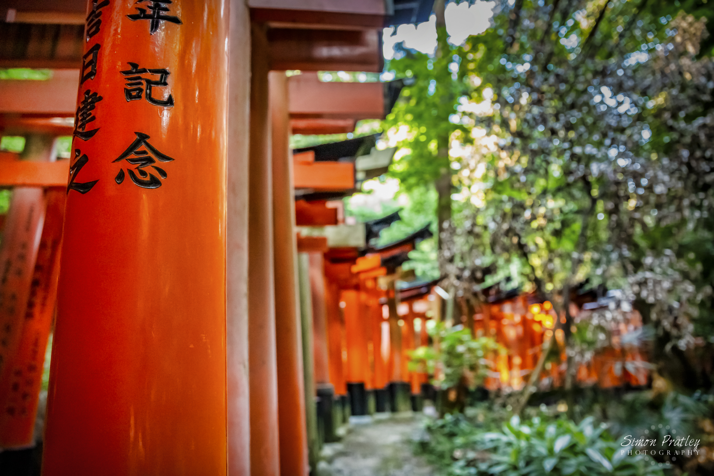 Gates of Inari