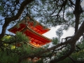 The Intriguing Koyasu Pagoda
