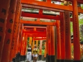Walking Through Inari