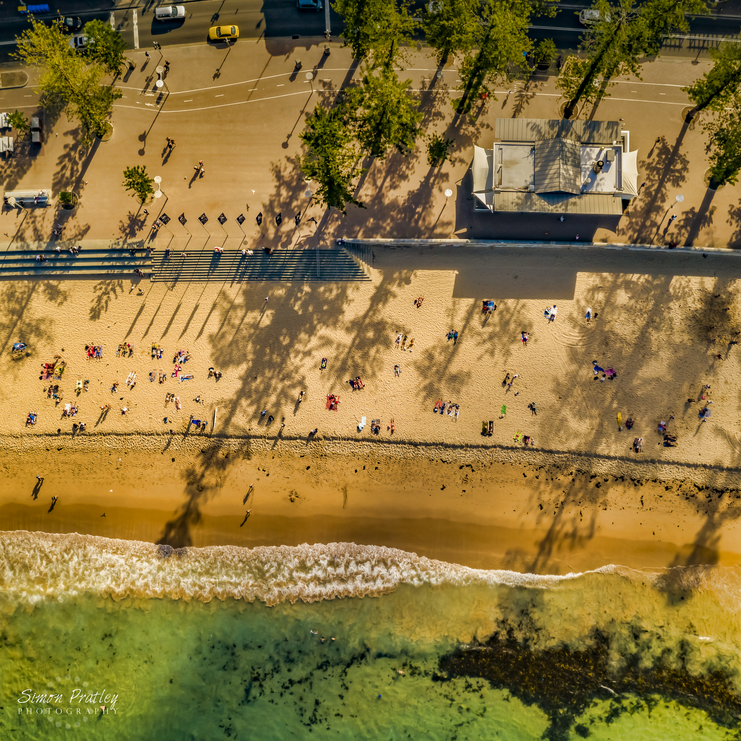Afternoons at Manly Beach (Square)