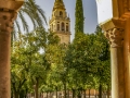 El Patio de los Naranjos el la Mezquita-Catedral de Córdoba