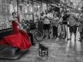 Flamenco en la Calle